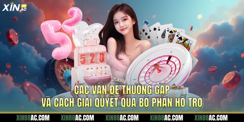 Các vấn đề thường gặp và cách giải quyết qua bộ phận hỗ trợ