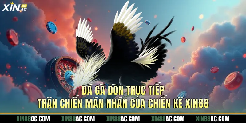 Đá gà đòn trực tiếp