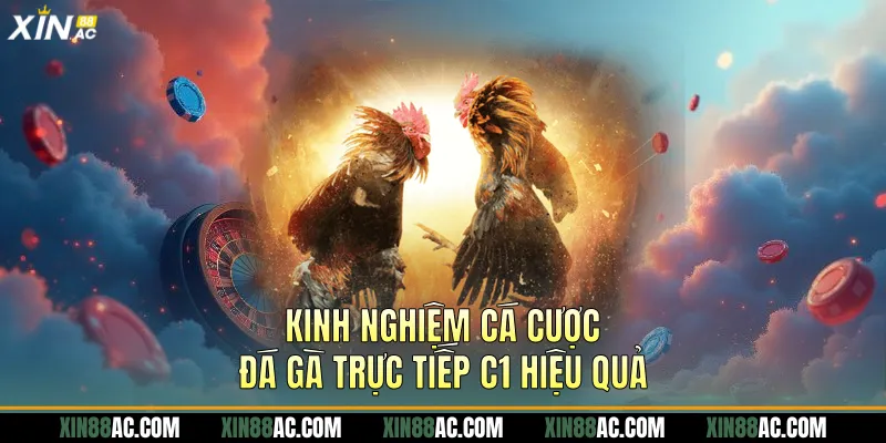 Kinh nghiệm cá cược đá gà trực tiếp c1 hiệu quả