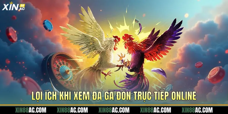 Lợi ích khi xem đá gà đòn trực tiếp online