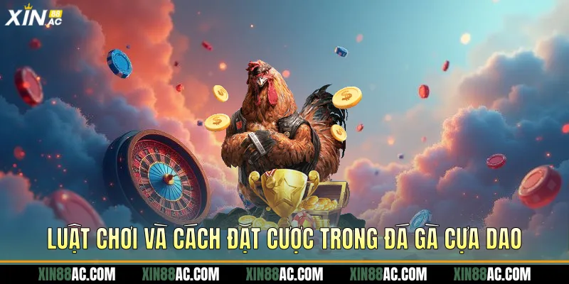 Luật chơi và cách đặt cược trong đá gà cựa dao