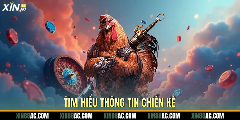 Tìm hiểu thông tin chiến kê